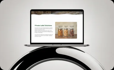 Project goals mockup